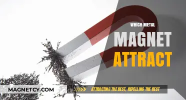 Metals That Attract Magnets: Unlocking Magnetic Properties and Applications