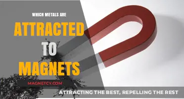 Magnetic Metals: Unveiling Which Materials Are Drawn to Magnets