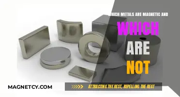 Exploring Magnetism: A Guide to Magnetic and Non-Magnetic Metals