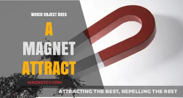 Magnetic Attraction: Unveiling Objects That Magnets Naturally Pull Towards