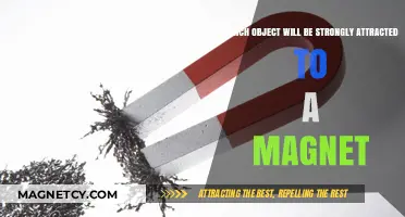 Magnetic Attraction: Which Common Objects Stick Strongly to Magnets?