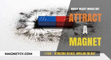 Unmagnetic Mysteries: Everyday Objects That Defy Magnetic Attraction