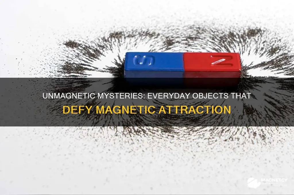 which object would not attract a magnet