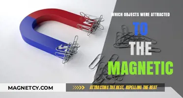 Magnetic Attraction: Discovering Objects Drawn to Magnets' Powerful Force