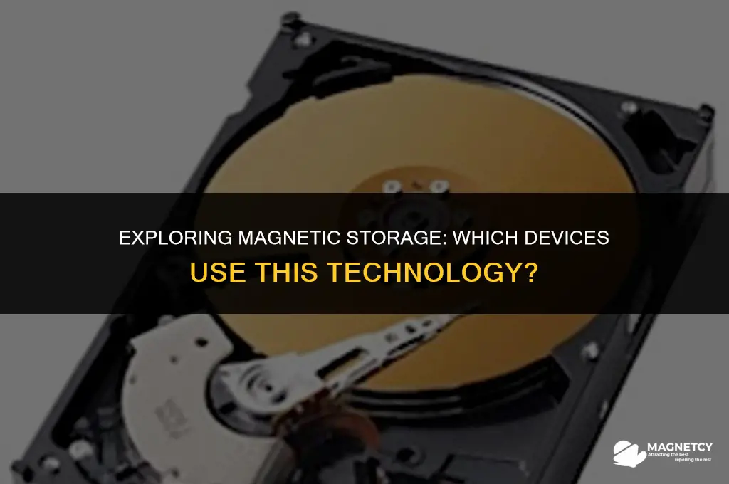 which of the following is a magnetic storage device