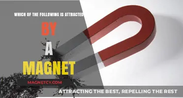 Magnetic Materials: What's Attracted and Why It Matters