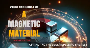 Exploring Magnetism: Identifying Non-Magnetic Materials in Everyday Life