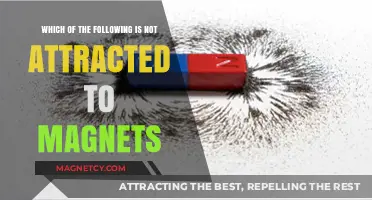 Unveiling the Mystery: What Doesn’t Stick to Magnets?