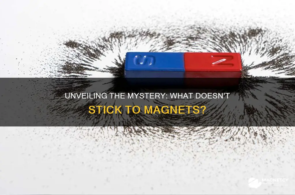 which of the following is not attracted to magnets