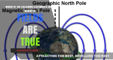 Exploring Magnetic Fields: Separating Facts from Fiction