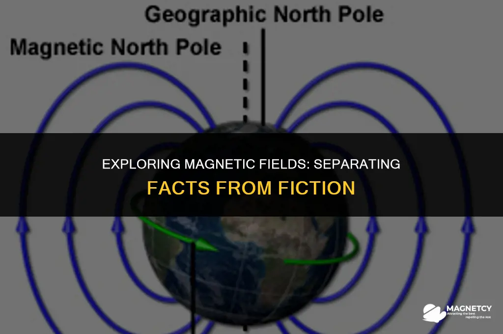 which of the following statements about magnetic fields are true