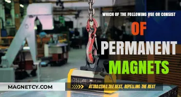 Permanent Magnets: Essential Components in Everyday Devices and Technologies