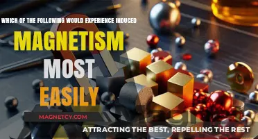 Exploring Magnetic Susceptibility: Which Materials Attract Magnetism Most Easily?