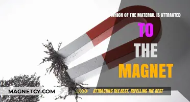 Magnetic Materials: Which Ones Are Attracted to Magnets?