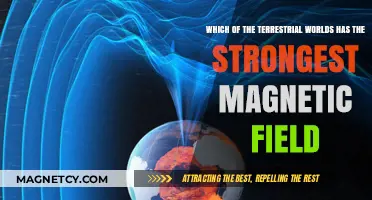 Unveiling the Terrestrial World with the Strongest Magnetic Field