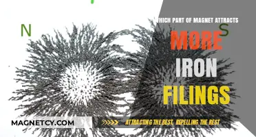 Magnetic Poles: Unveiling Which End Attracts More Iron Filings