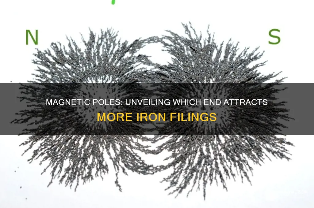 which part of magnet attracts more iron filings
