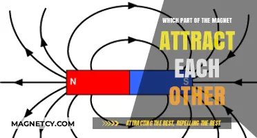 Magnetic Attraction: Understanding Which Poles Pull Each Other Together