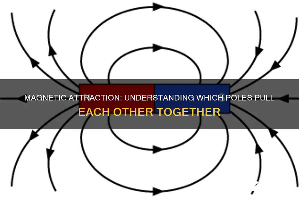 which part of the magnet attract each other