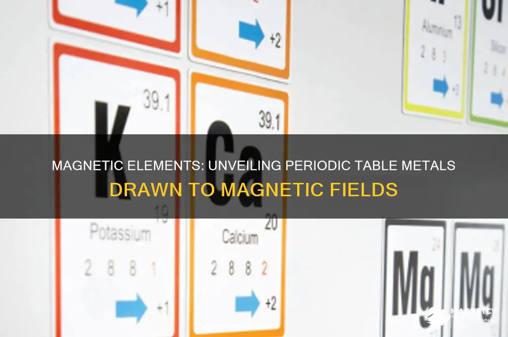 which periodic table elements attracted to magnetic fields