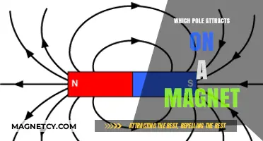Magnetic Poles: Understanding Which Pole Attracts and Repels