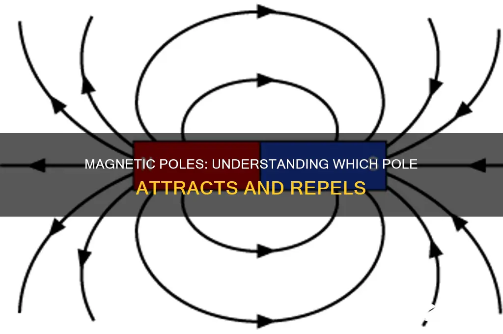 which pole attracts on a magnet
