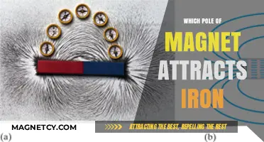 Magnetic Poles and Iron: Understanding Which End Attracts Metal