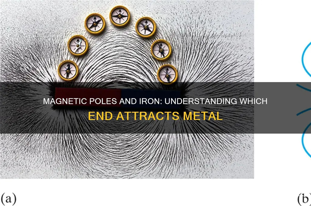 which pole of magnet attracts iron