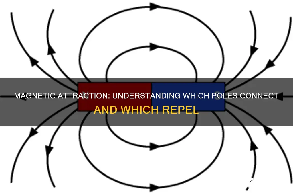 which poles attract in magnets and which do not