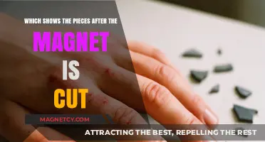 Revealing the Aftermath: A Close-Up on Magnet Fragmentation