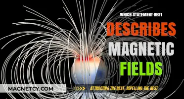 Exploring the Invisible Force: Understanding Magnetic Fields