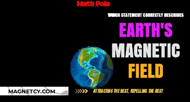 Unveiling Earth's Magnetic Mysteries: A Comprehensive Guide