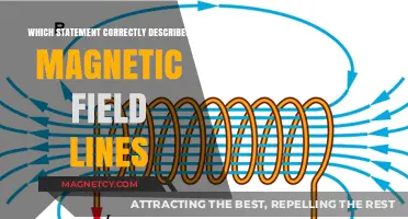 Exploring Magnetic Field Lines: Facts and Misconceptions
