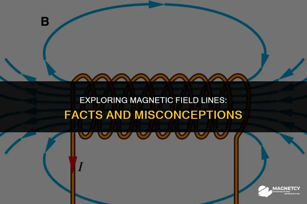 which statement correctly describes magnetic field lines