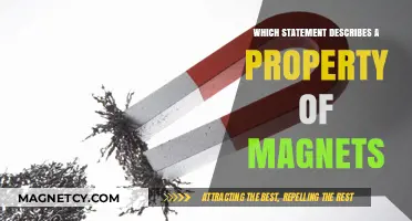 Exploring Magnetism: Key Properties and Fascinating Facts