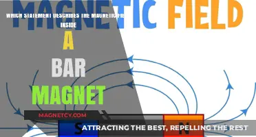 Exploring the Intricacies of Magnetic Fields Within Bar Magnets