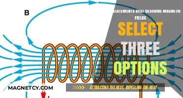 Exploring Magnetic Fields: Choose the Best Descriptions