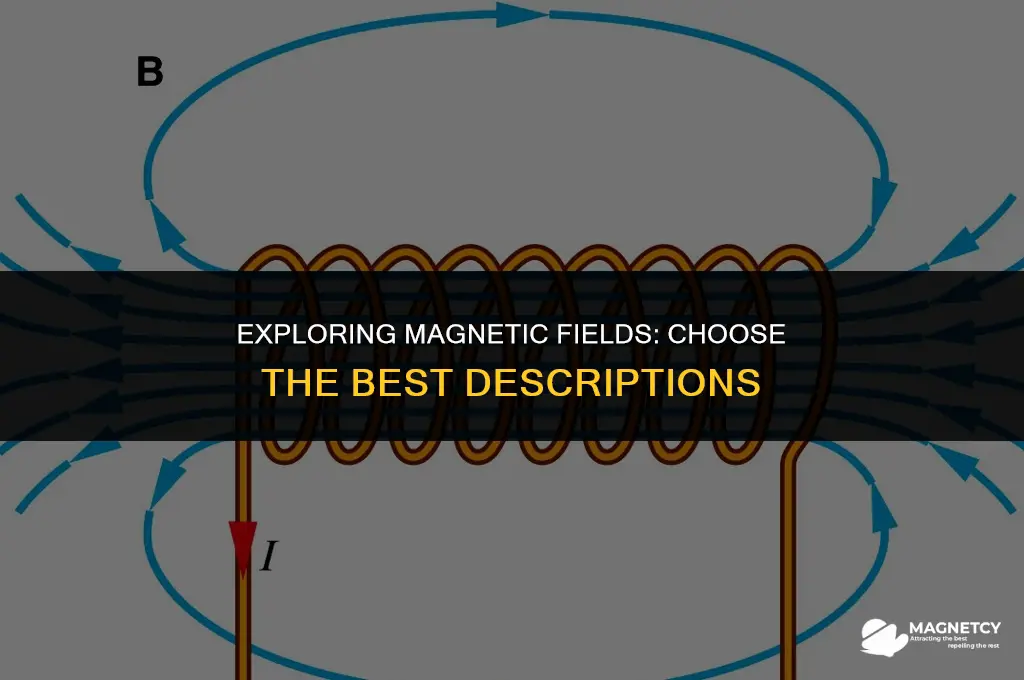 which statements best describe magnetic fields select three options
