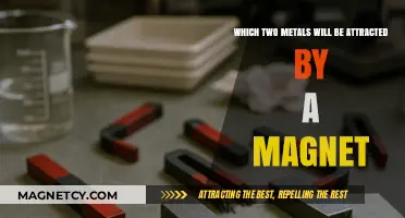 Magnetic Metals: Unveiling the Two Ferromagnetic Elements Attracted by Magnets