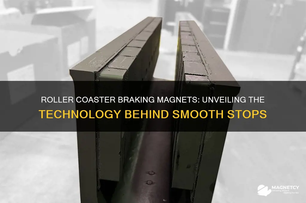 which type of magnet do roller coasters use for braking