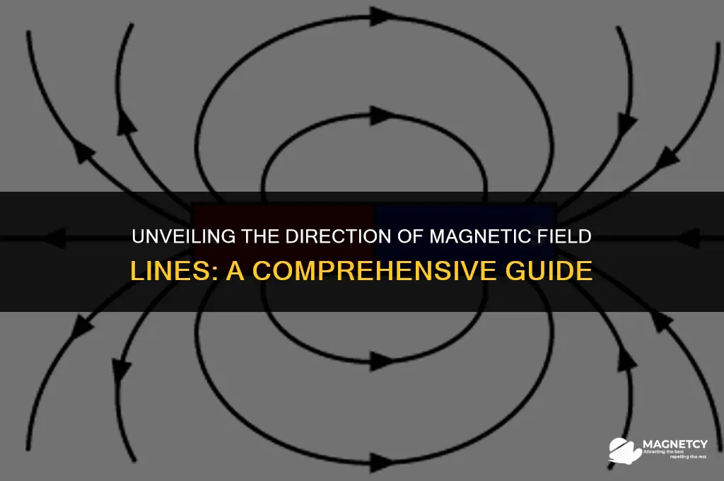 which way do magnetic field lines point
