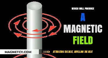 Exploring the Sources of Magnetic Fields: A Comprehensive Guide