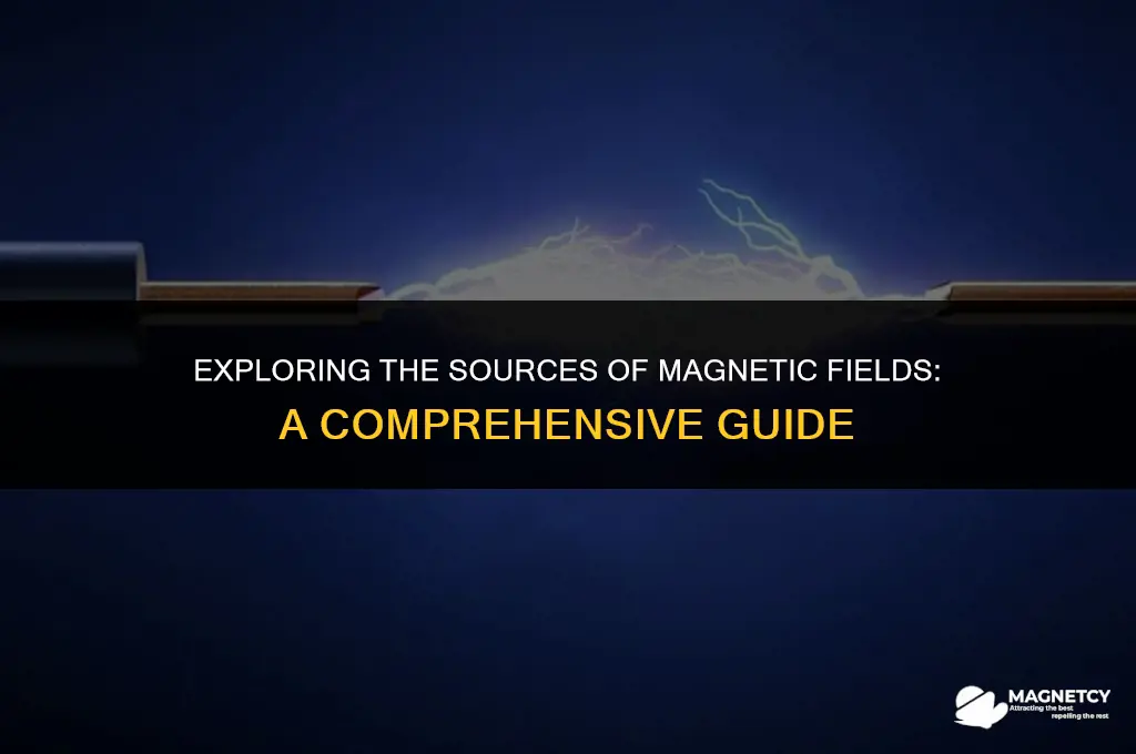 which will produce a magnetic field