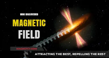 Unveiling the Mystery: Who Discovered the Magnetic Field?