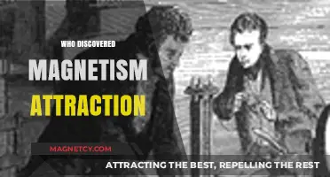 Unveiling the Ancient Mystery: Who Discovered Magnetism's Attraction?