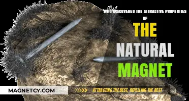 Unveiling the Ancient Discovery of Magnetism's Attractive Secrets