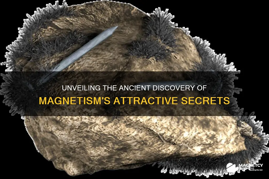 who discovered the attractive properties of the natural magnet