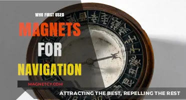Magnetic Navigation Pioneers: Unveiling the First Users of Compass Technology