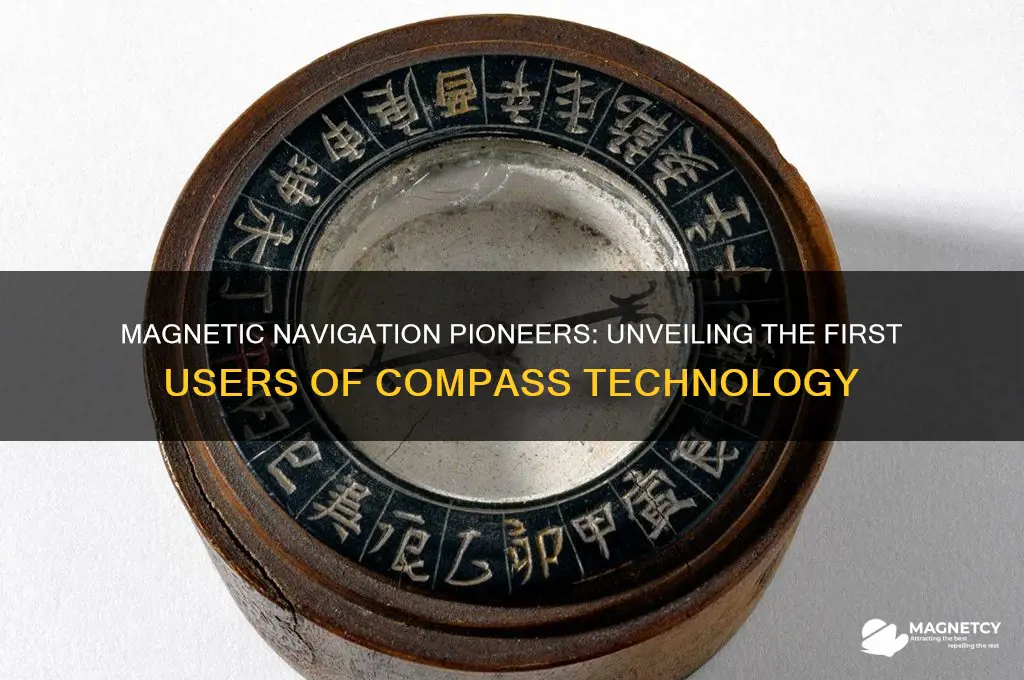 who first used magnets for navigation