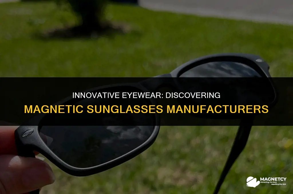 who makes eyeglasses with magnetic sunglasses